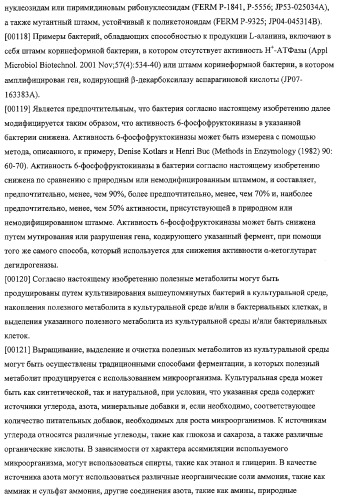 Использование фосфокетолазы для продукции полезных метаболитов (патент 2322496)