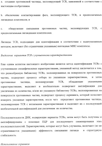 Экспонирование т-клеточных рецепторов (патент 2346004)