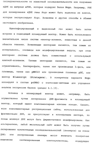 Поликлональное антитело против nogo, фармацевтическая композиция и применение антитела для изготовления лекарственного средства (патент 2432364)