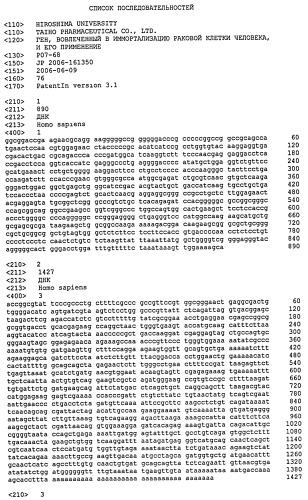 Ген, вовлеченный в иммортализацию раковой клетки человека, и его применение (патент 2449016)