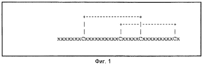 Ген abfb-2 penicillium funiculosum (патент 2388820)
