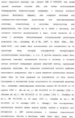 Поликлональное антитело против nogo, фармацевтическая композиция и применение антитела для изготовления лекарственного средства (патент 2432364)