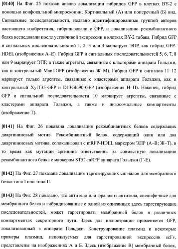 Набор последовательностей для таргетинга экспрессии и контроля посттрансляционных модификаций рекомбинантного полипептида (патент 2481399)