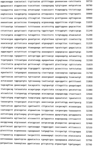 Бактериофаг, обладающий активностью против pseudomonas aeruginosa, белки бактериофага и способы их применения (патент 2580248)