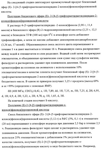 Способ избирательного получения растений с мужской или женской стерильностью (патент 2320722)