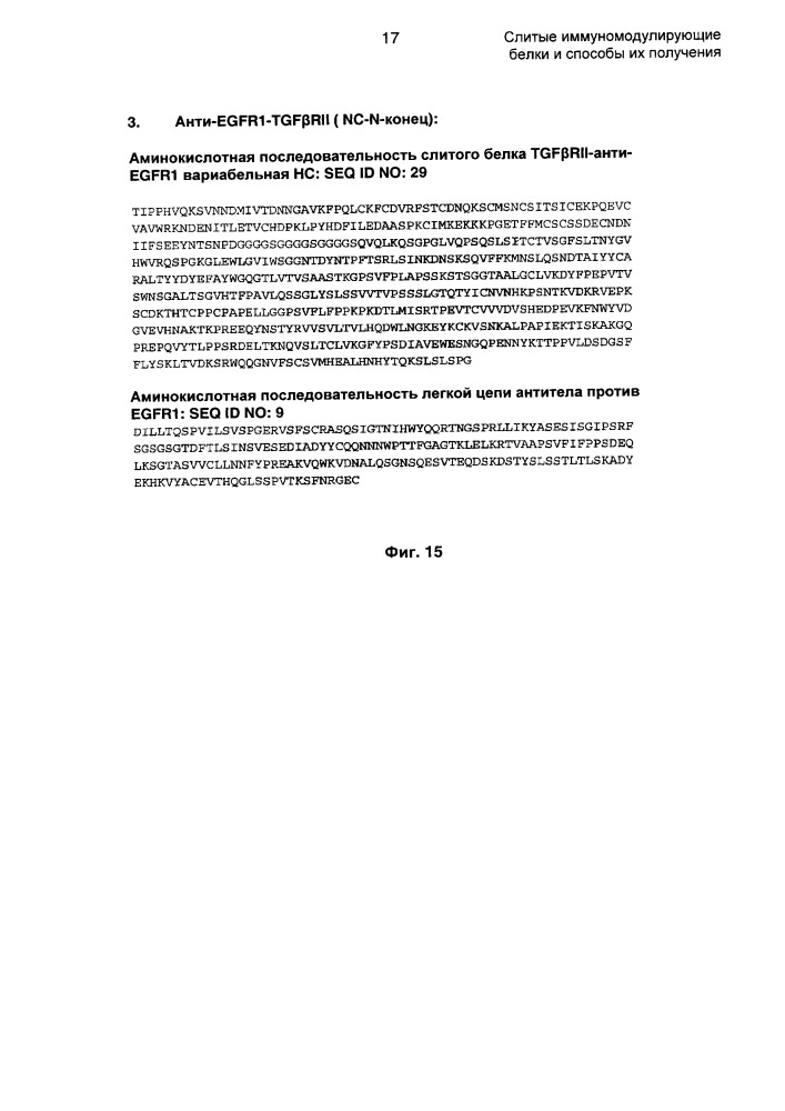 Слитые иммуномодулирующие белки и способы их получения (патент 2662991)