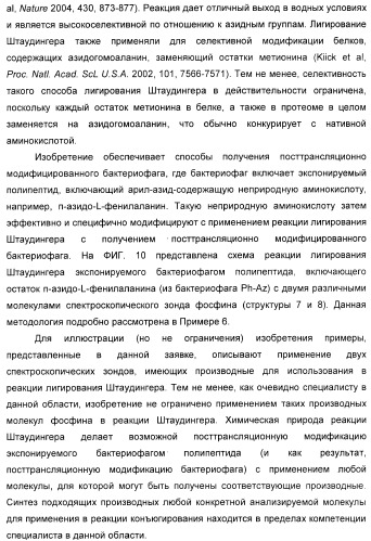 Селективная посттрансляционная модификация экспонируемых фагами полипептидов (патент 2459866)