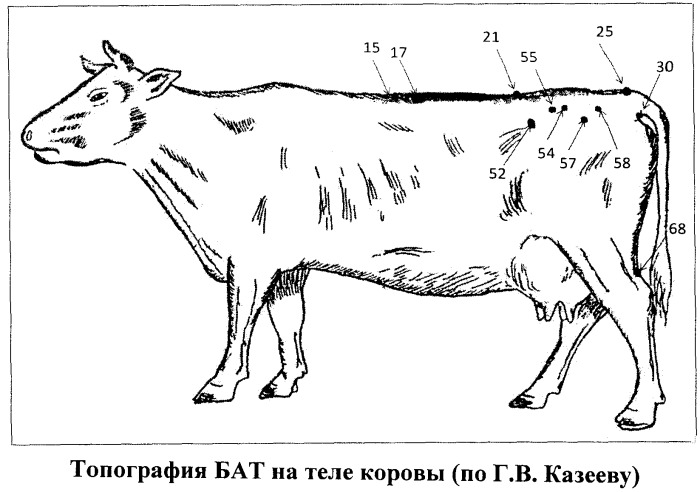 Способ терапии субинволюции матки у коров (патент 2474419)