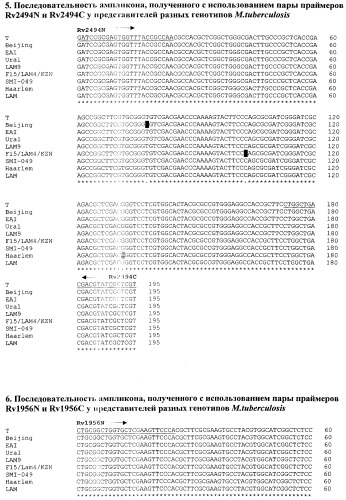 Способ генотипирования штаммов mycobacterium tuberculosis (патент 2547598)