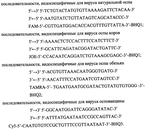 Набор олигонуклеотидных праймеров и флуоресцентномеченых зондов для видоспецифичной экспресс-идентификации ортопоксвирусов на основе мультиплексной пцр в реальном времени (патент 2427648)