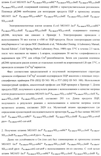 Бактерия - продуцент 1-бутанола и способ получения 1-бутанола (патент 2431672)