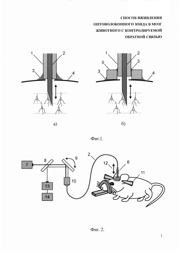 Способ вживления оптоволоконного зонда в мозг животного с контролируемой обратной связью (патент 2653815)