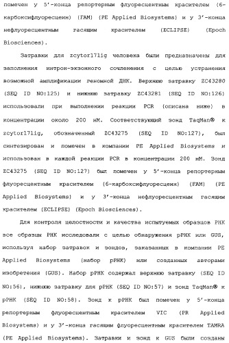 Новый лиганд рецептора цитокина zcytor17 (патент 2360923)