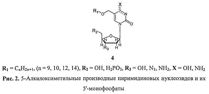 Новые 5-модифицированные пиримидиновые нуклеозиды - ингибиторы роста mycobacterium tuberculosis (патент 2517173)