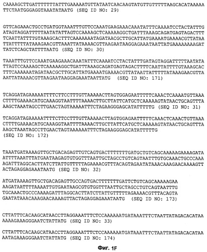 Промоторы lactococcus и их применение: (патент 2495129)