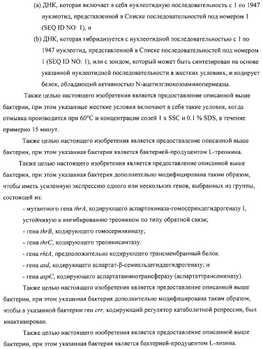 Способ получения l-аминокислот с использованием бактерии, принадлежащей к роду escherichia (патент 2312893)