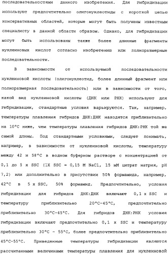 Ее3-семейство белков и соответствующие днк-последовательности (патент 2333918)