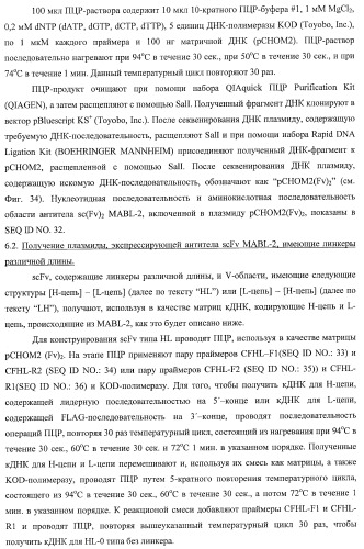 Днк, кодирующая модифицированное антитело или соединение с активностью агониста тро, способ их получения и животная клетка или микроорганизм, их продуцирующие (патент 2422528)