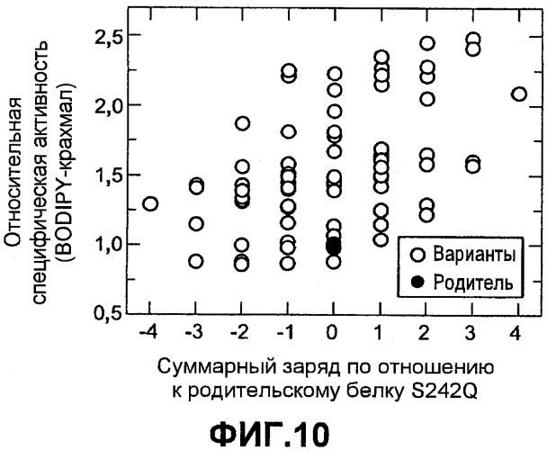 Способы улучшения множественных свойств белка (патент 2553550)