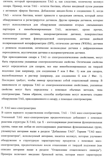 Твердофазное тегирование олигосахаридов: методика для манипуляции с иммобилизированными углеводами (патент 2398237)