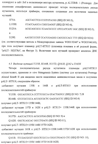 Модифицированная ксиланаза (патент 2394909)