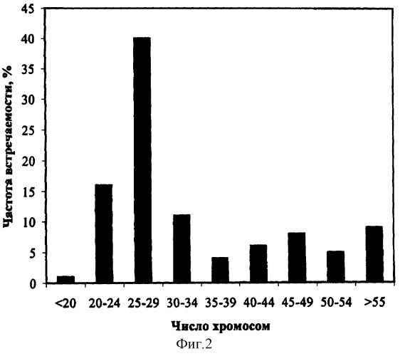 Штамм культивированных клеток растений ajuga reptans l. (патент 2296154)