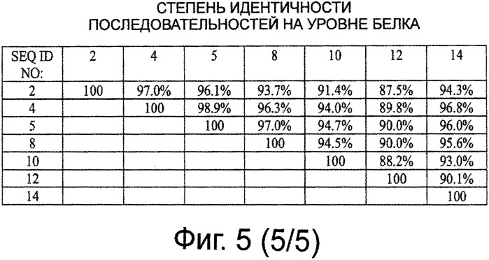 Рекомбинантная вакцина от птичьего гриппа и её применение (патент 2559527)