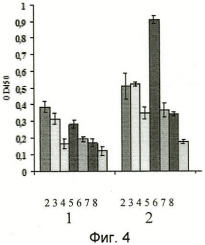 Наноантитела amh1, amh2, связывающие антиген mycoplasma hominis, способ их получения, способ лечения инфекции, вызванной mycoplasma hominis (патент 2484095)