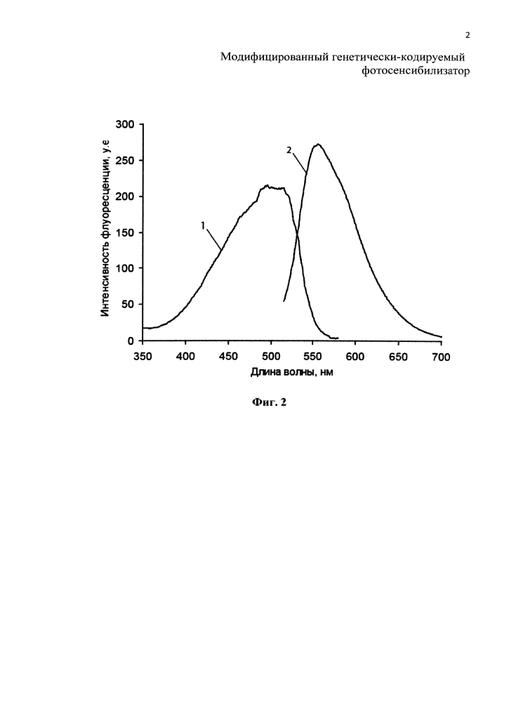 Модифицированный генетически кодируемый фотосенсибилизатор (патент 2599443)