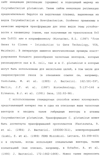 Гены corynebacterium glutamicum, кодирующие белки, участвующие в метаболизме углерода и продуцировании энергии (патент 2310686)