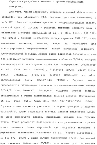 Scfv против egfrviii с улучшенной цитотоксичностью и выходом, иммунотоксины на их основе и способы их применения (патент 2317999)