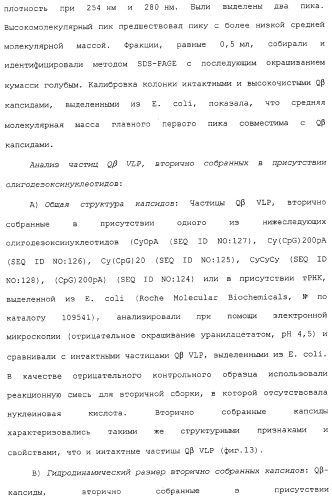 Композиции, содержащие cpg-олигонуклеотиды и вирусоподобные частицы, для применения в качестве адъювантов (патент 2322257)