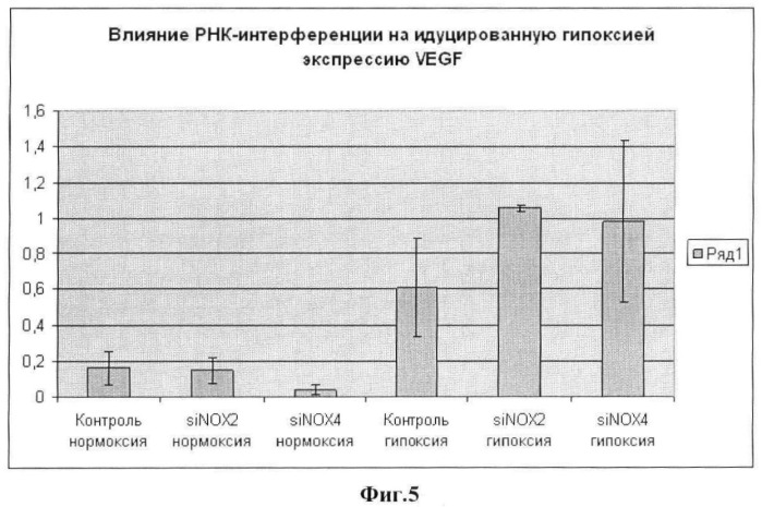 Способ повышения ангиогенного потенциала мезенхимальных стволовых клеток жировой ткани (патент 2443778)