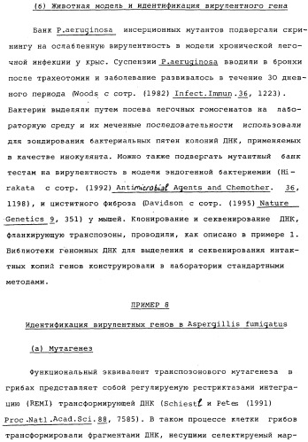 Vgc2 днк salmonella typhimurium, мутантная бактерия, обладающая пониженной способностью к адаптации к условиям окружающей среды, и способ ее получения (патент 2370541)