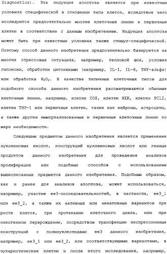 Ее3-семейство белков и соответствующие днк-последовательности (патент 2333918)