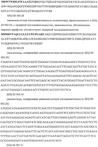 Человеческие моноклональные антитела к человеческому интерлейкину-4 (hil-4) (патент 2382049)