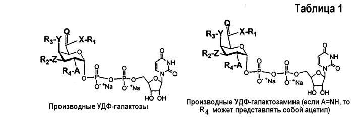 Гликопэгилированный гранулоцитарный колониестимулирующий фактор (патент 2400490)