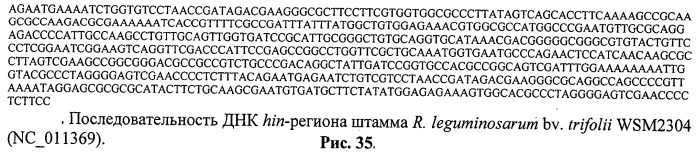 Способ идентификации и дифференциации прокариотических организмов (патент 2486251)