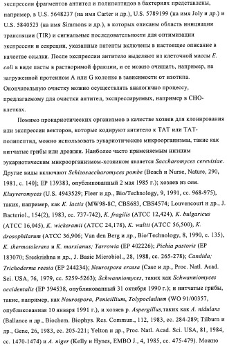 Композиции и способы диагностики и лечения опухоли (патент 2430112)