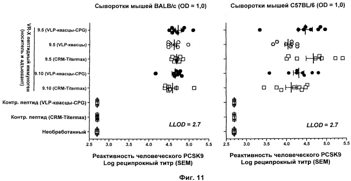 Вакцина против pcsk9 (патент 2538162)