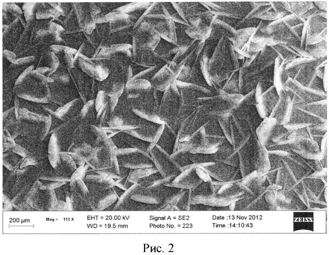 Способ фосфатирования железокобальтового сплава (патент 2560891)