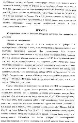 Изолированные полипептиды, кодирующие их полинуклеотиды, экспрессирующие их трансгенные растения и способы их использования (патент 2425151)