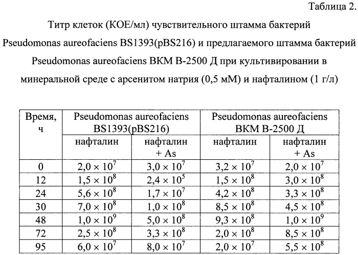 Штамм бактерий pseudomonas aureofaciens вкм в-2500 д для биодеградации полициклических ароматических углеводородов в условиях загрязнения почв арсенитом натрия (патент 2396338)