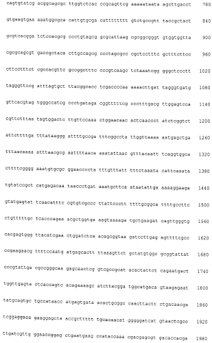 Мутеины липокалина 2 человека (lcn2, hngal) с аффинностью для определенной мишени (патент 2564125)