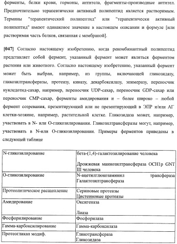 Набор последовательностей для таргетинга экспрессии и контроля посттрансляционных модификаций рекомбинантного полипептида (патент 2481399)