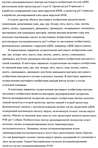 Способы и композиции для экспрессии антисмысловой вирусной рнк в клетках собаки (патент 2457250)