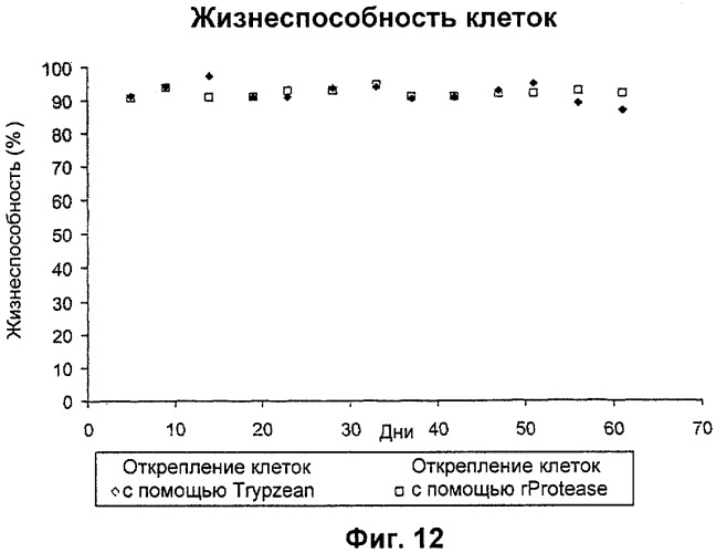 Способ культивирования клеток без компонентов животного происхождения (патент 2369634)