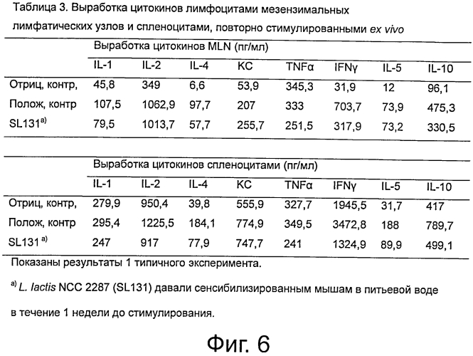 Пищевая композиция, содержащая штаммы lactococcus и уменьшающая сиптомы аллергии, в частности у младенцев и детей (патент 2575072)