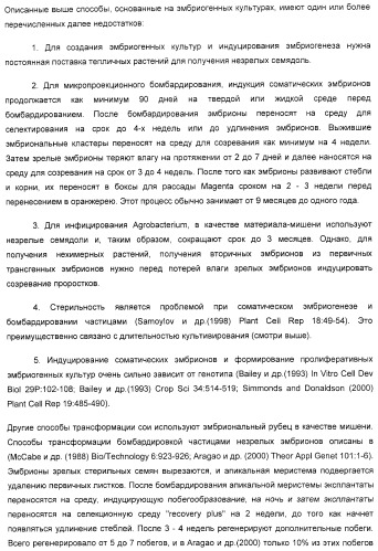 Улучшенная трансформация сои (патент 2389797)
