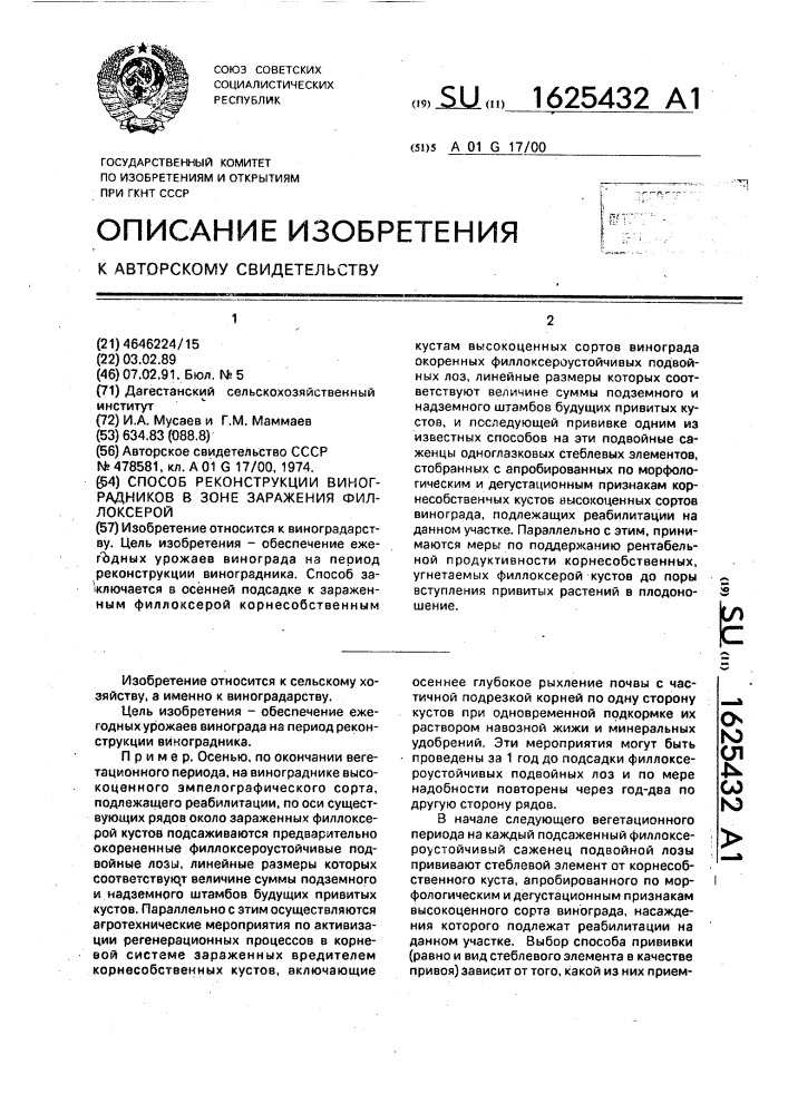 Способ реконструкции виноградников в зоне заражения филлоксерой (патент 1625432)